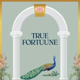 Astrology and Numerology Consultation