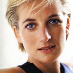 profile