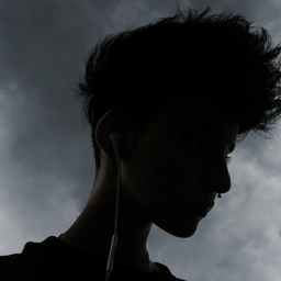 profile