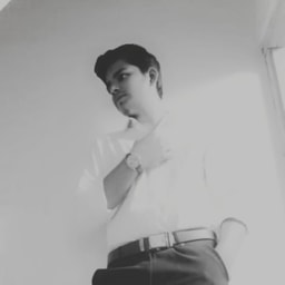 profile