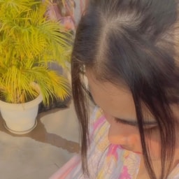 profile
