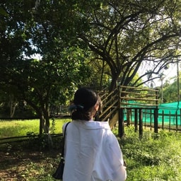 profile
