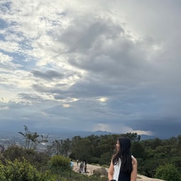 profile