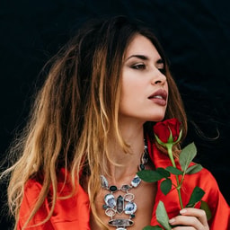 profile