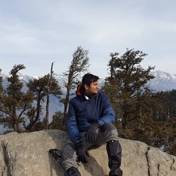 profile