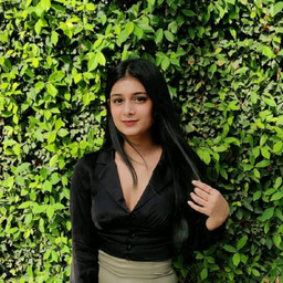 profile