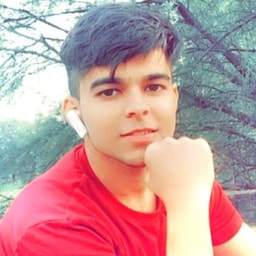 profile