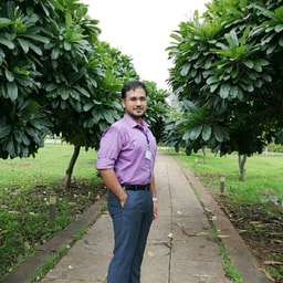 profile