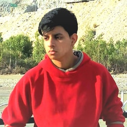 profile