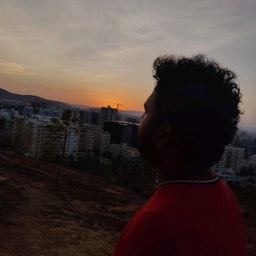 profile