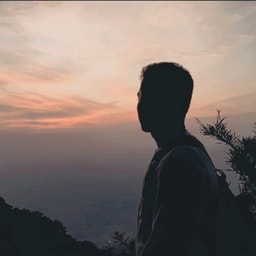 profile