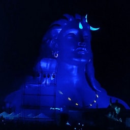 profile