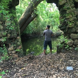 profile