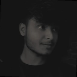 profile