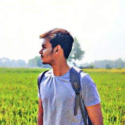profile