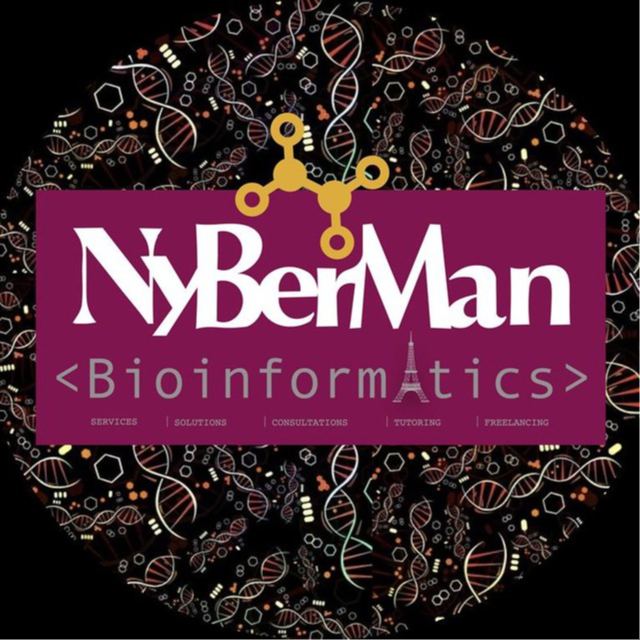 NyBerMan