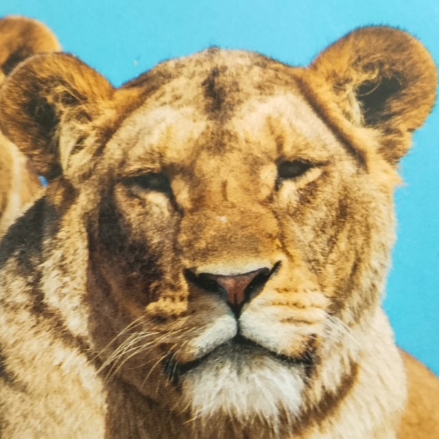 karunai