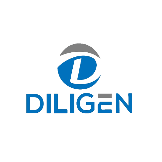 Diligen Professional Solutions Pvt Ltd