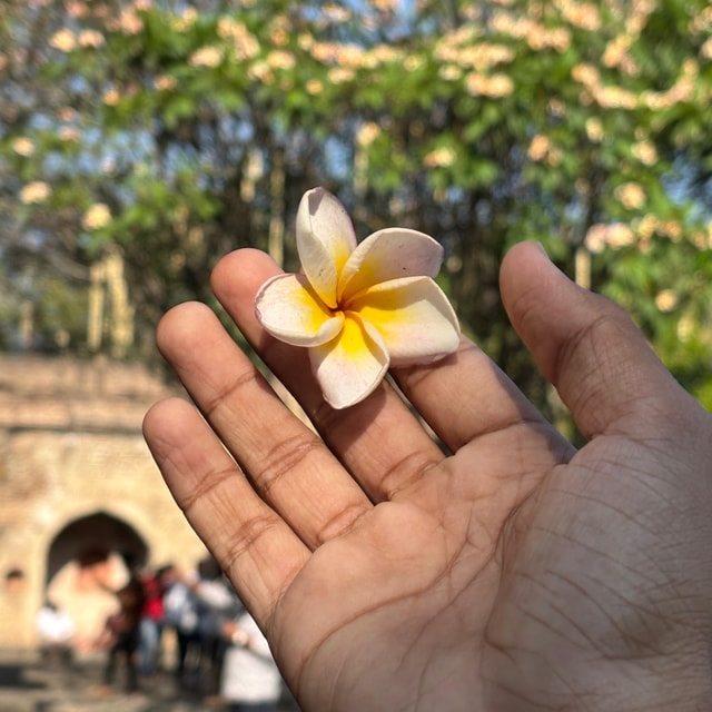 Swapna