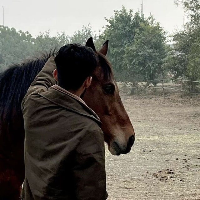 Ali