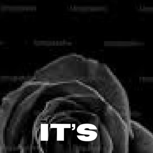 doc-thumbnail
