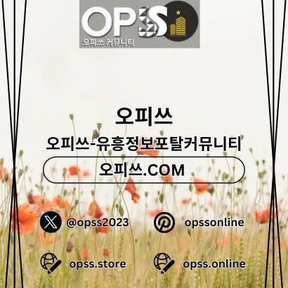 안성오피