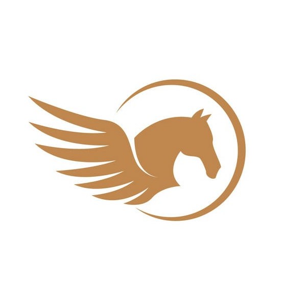 London Policy Group