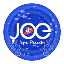 Joe