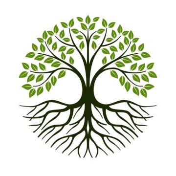 AnviRoots Consulting International LTD