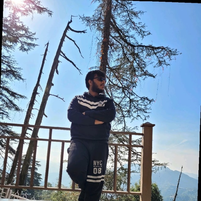 Parthsarthi