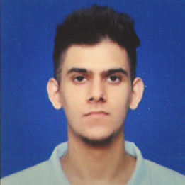 Vidur