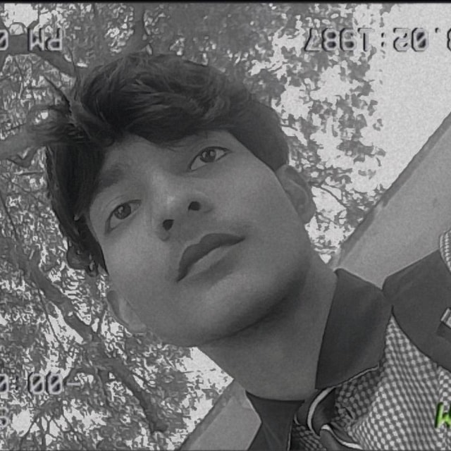 SHIKHAR