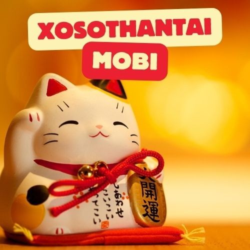 Dự đoán XSMT hôm nay - Dự đoán