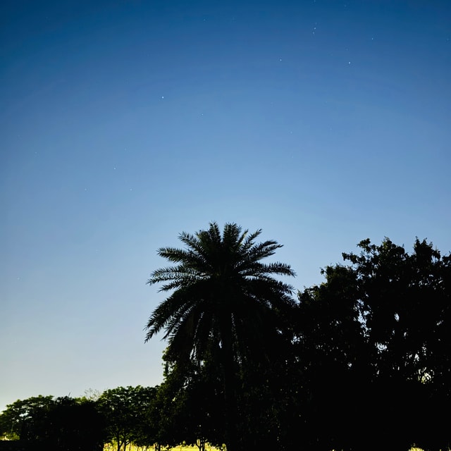 Aaditya