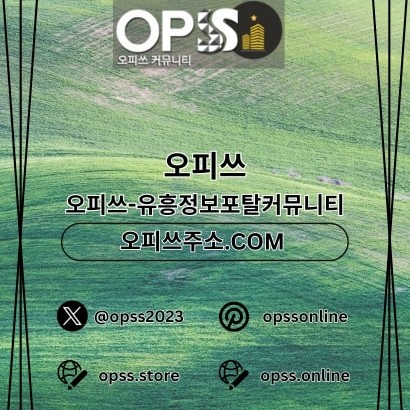 노원오피