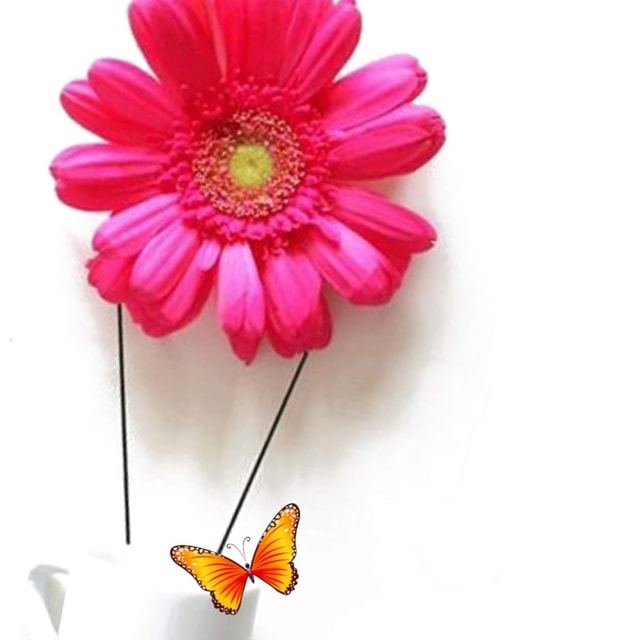 Vijin