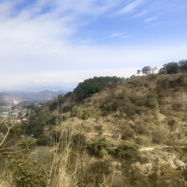 Vivek
