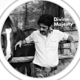 Divine Majesty Horsemanship