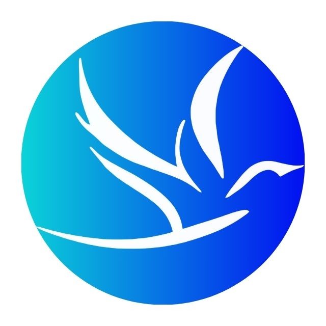 ADZYFLY