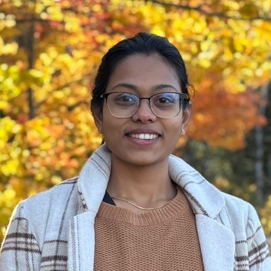 Krithika
