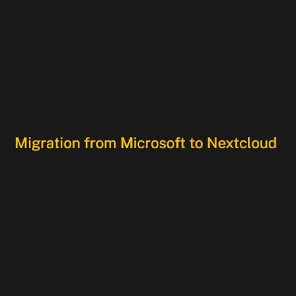 Microsoft Zu