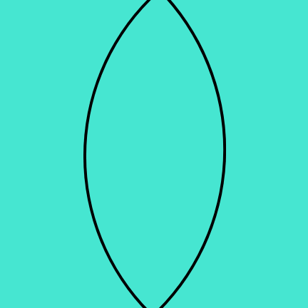 Delphin