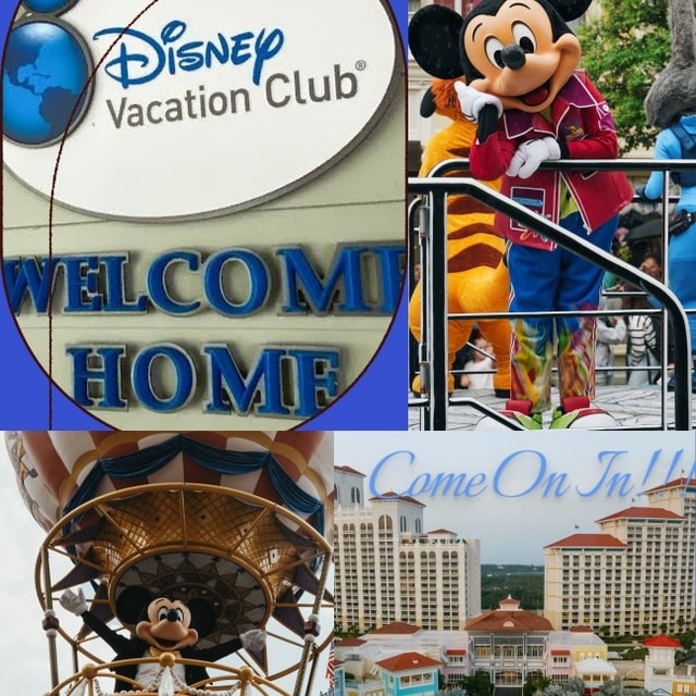DVC