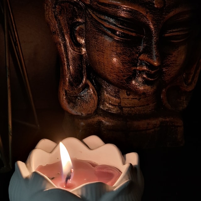 White Lotus