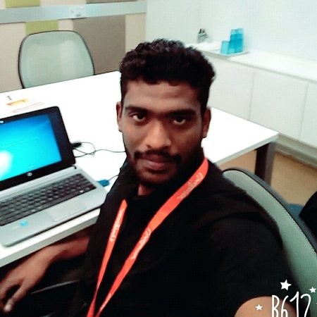 Krishna Raj