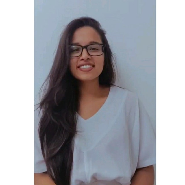 Pankhi