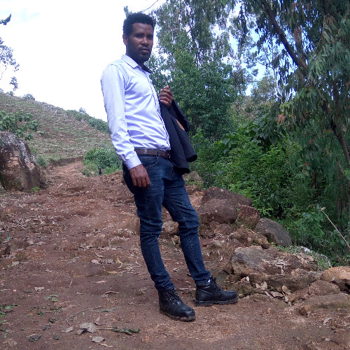 Abebe