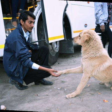 Bhavik
