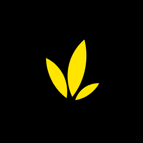 Deepanshu