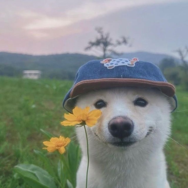 Poorvi.